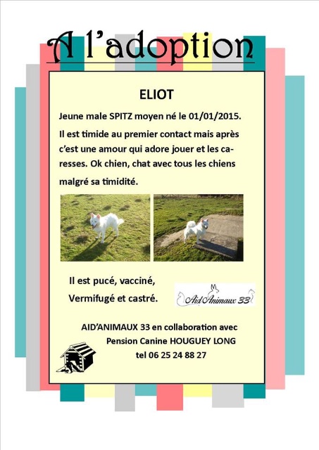 Affichette Eliot