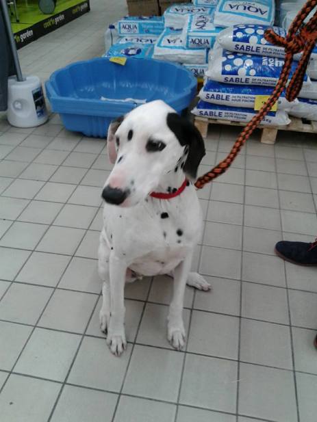 Liza à la JA du 26 mars