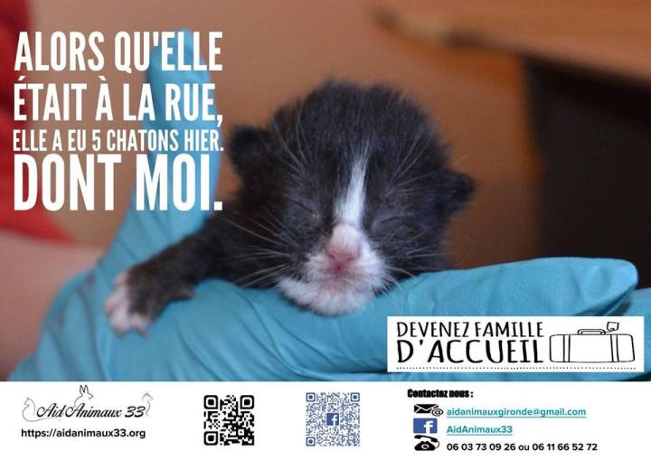 13092010_673104146175172_6608928248450779834_n