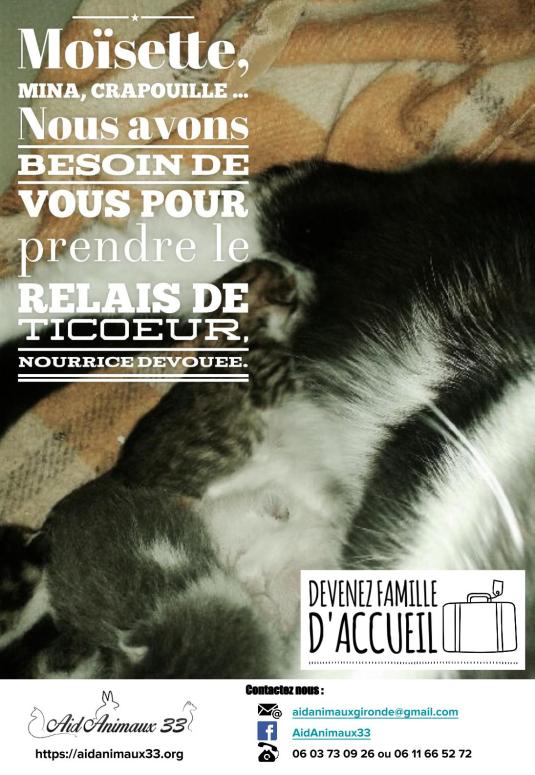 Moisette recherche FA