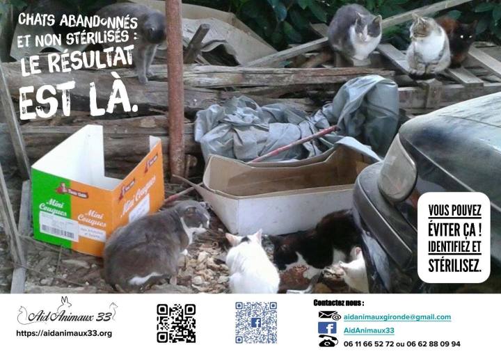 13078071_10207977710393698_632320302_o