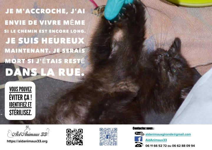 2016-07 campagne stérilisation Marin