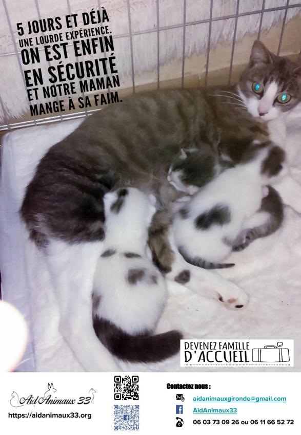 5 jours et déjà... 