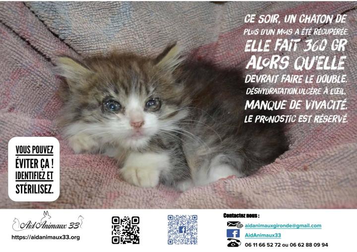 campagne stérilisation
