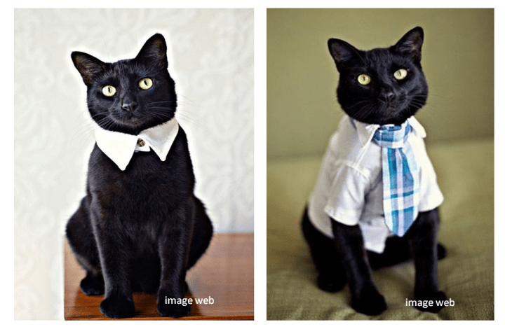 02-03_classes et distingués