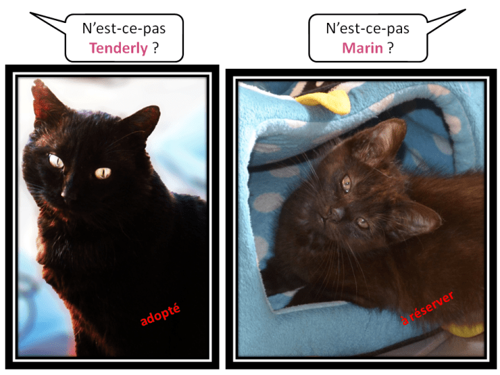 04-05_Tenderly-Marin