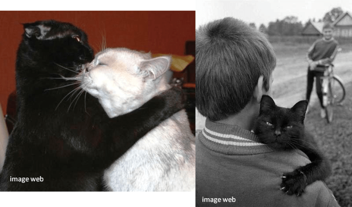 19-20_est affectueux