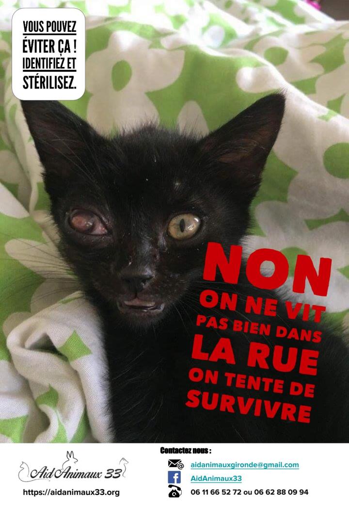 2016-10-sterilisation