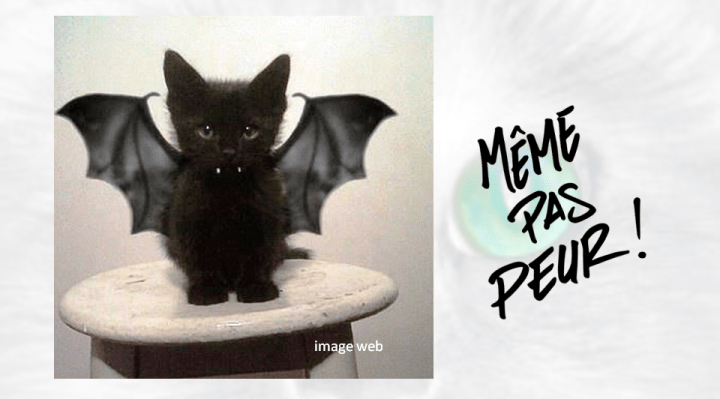 26-27_même pas peur