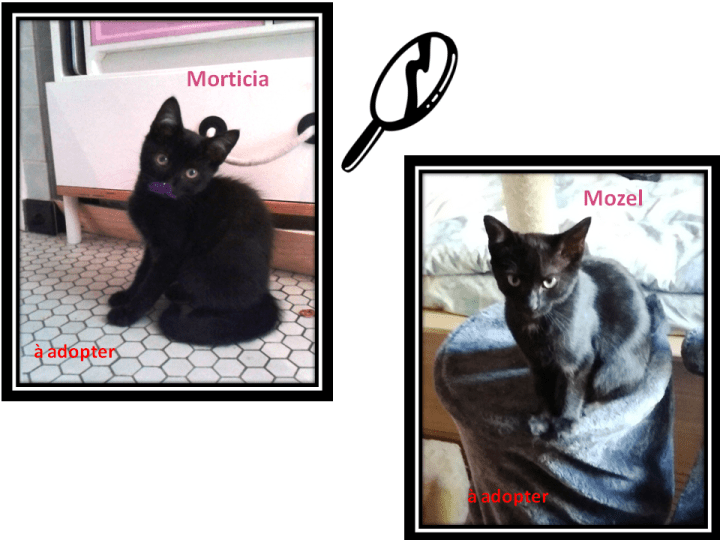 28-29_Morticia et Mozel