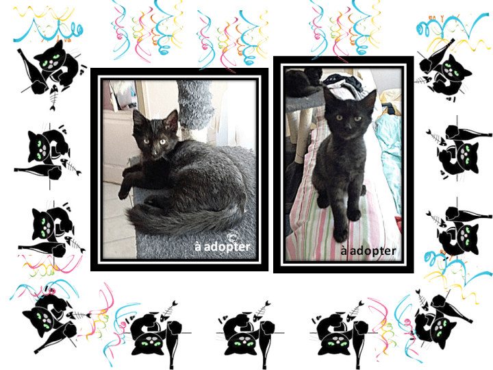 39-40_Miko et Mothie_13 à table