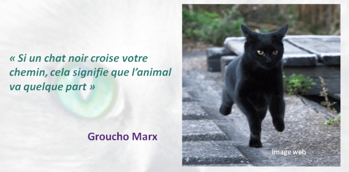 41_citation