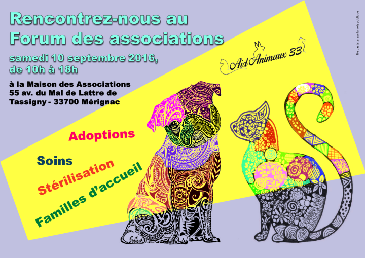2016-09-10_aff-forum-assos