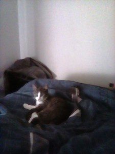 liliane-adoptee-08-10-16