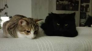 maiko-et-moisette_oct-2016