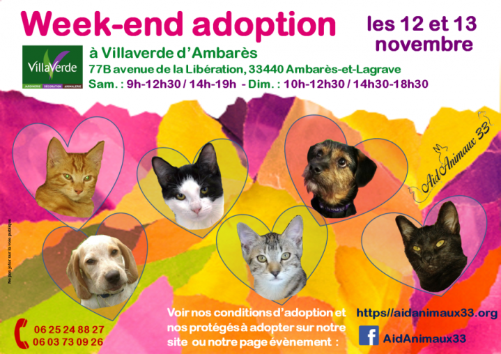 2016-11-12-13_we-villaverde