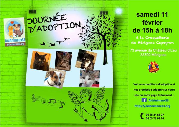 Affiche JA 11 février 2017