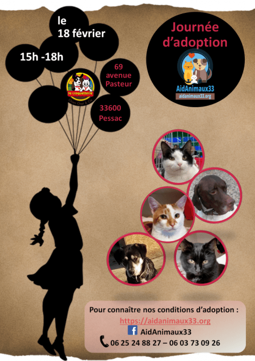 2017-02-18_ja-pessac