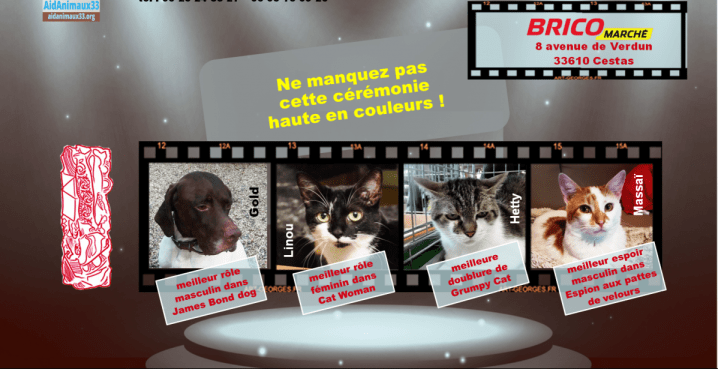 2017-02-25_ja-cestas