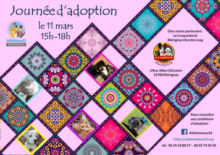 2017-03-11_ja-merignac-ch-long