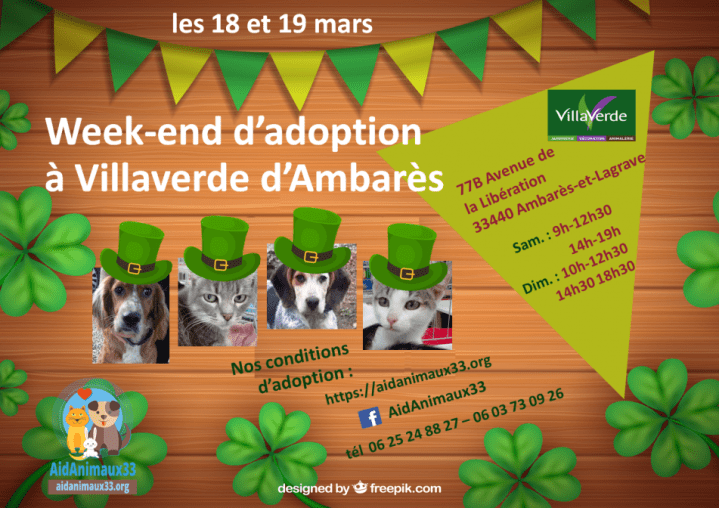 2017-03-1819_affiche-ja-villaverde