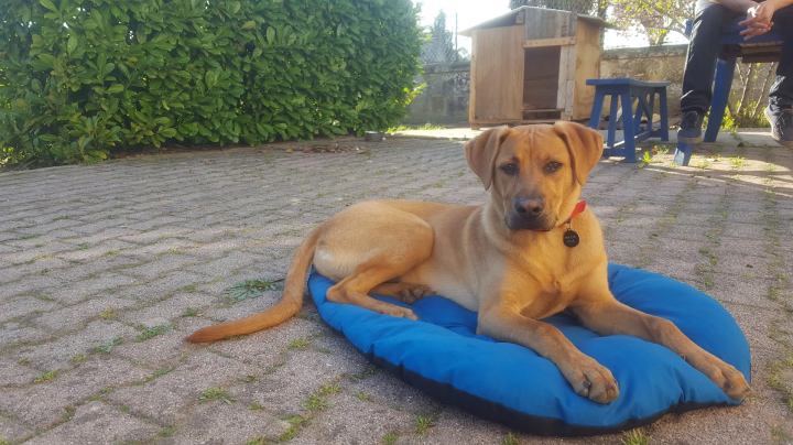 Major ex Malt mars 2017