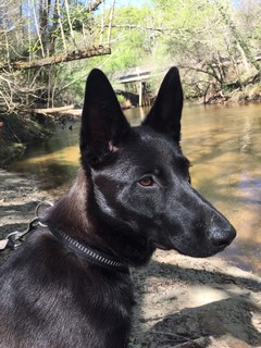 Misery mai 2017 (Copier)