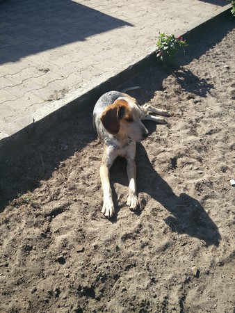 Little 2 août 2017 (Copier)