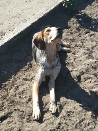 Little août 2017 (Copier)