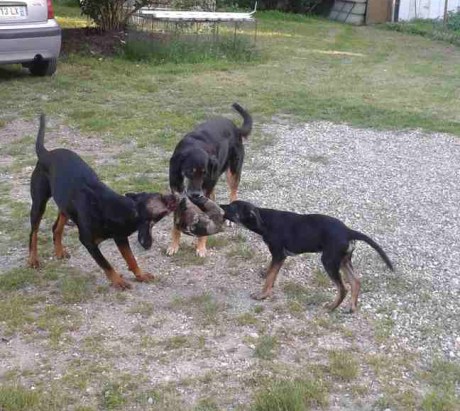 No name sept. 2017 (Copier)