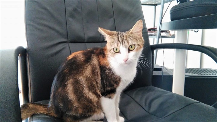 Ketty 3 septembre 2017