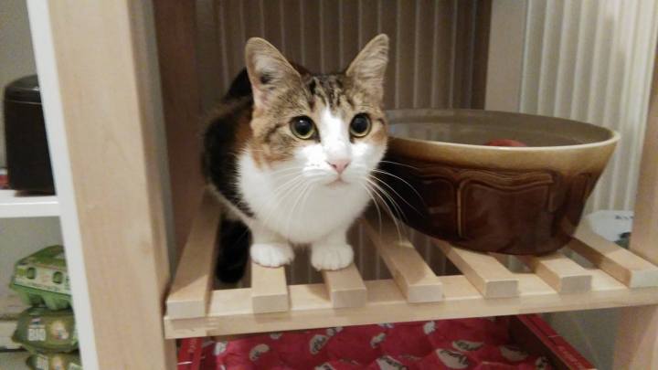 Ketty septembre 2017