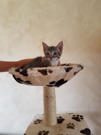 Nathan août 2017-2 (Copier)