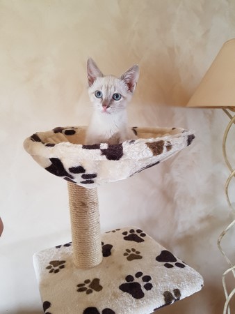 Nilisie août 2017 (Copier)