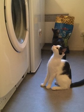 Nohliane août 2017 (Copier)