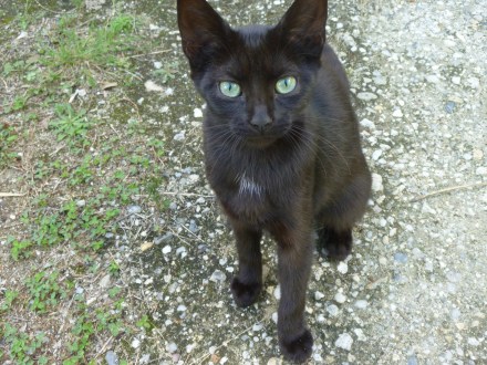 Ninon bis septembre 2017