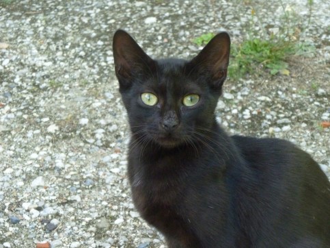 Timide septembre 2017