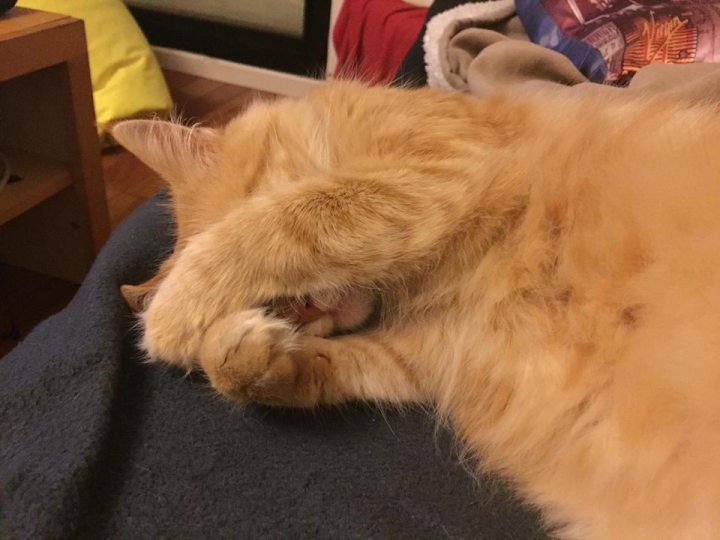 Kusmi janvier 2 2018