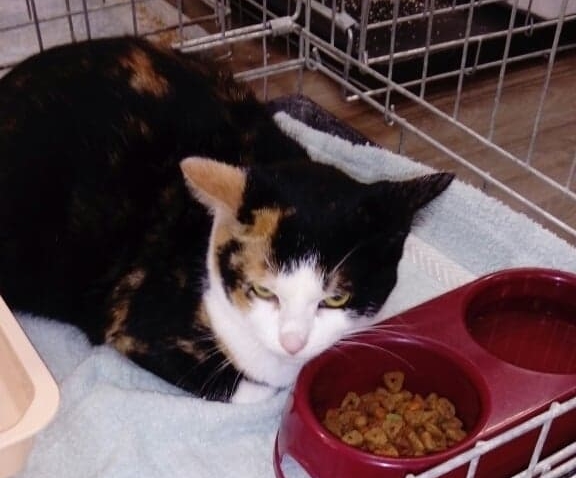 Najda janvier 2018 portrait