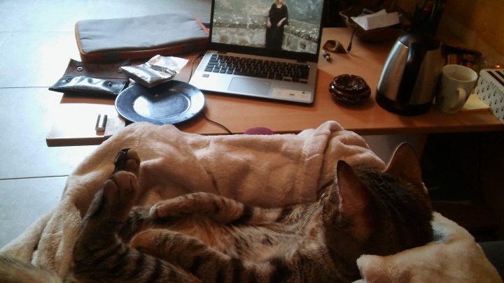 Cléophée février 18