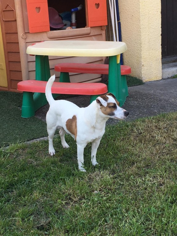 mini_Lily Jack 4 mai 18