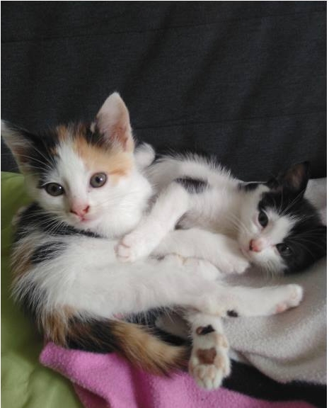 Oren et Odessa juin 2018