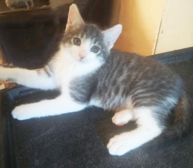 Olegario 2juillet 2018