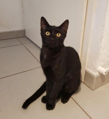 mini_Photo 1 O'Freya