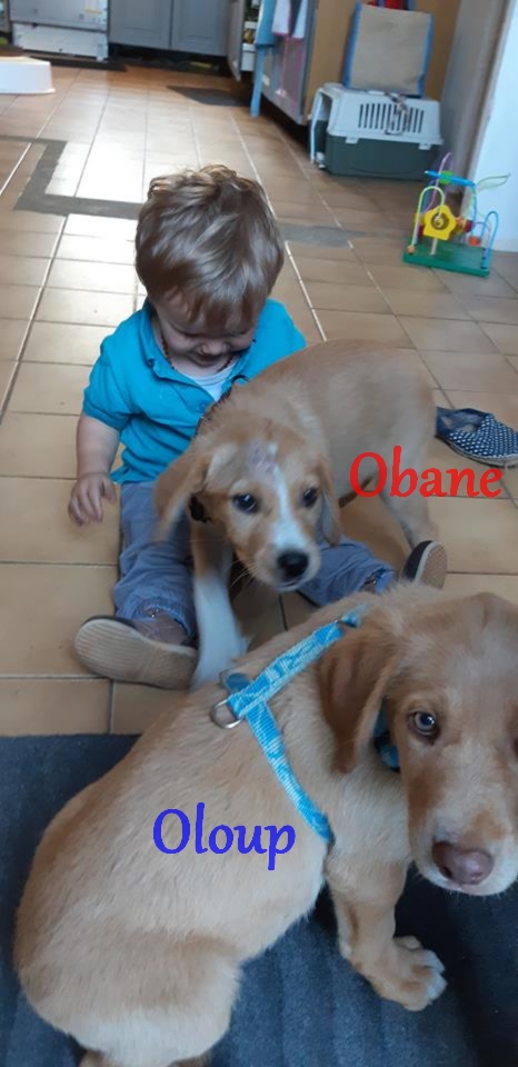 Oloup et Obane sept. 18