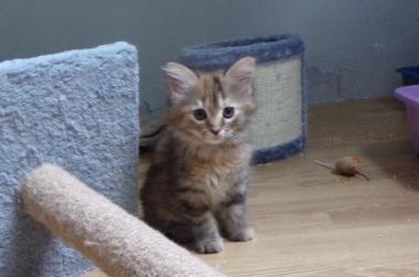 Ora portrait 5 oct. 18