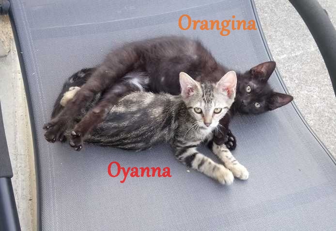 Orangina et Oyanna 3 oct. 18