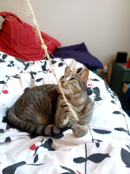 clémence 2 janvier 19