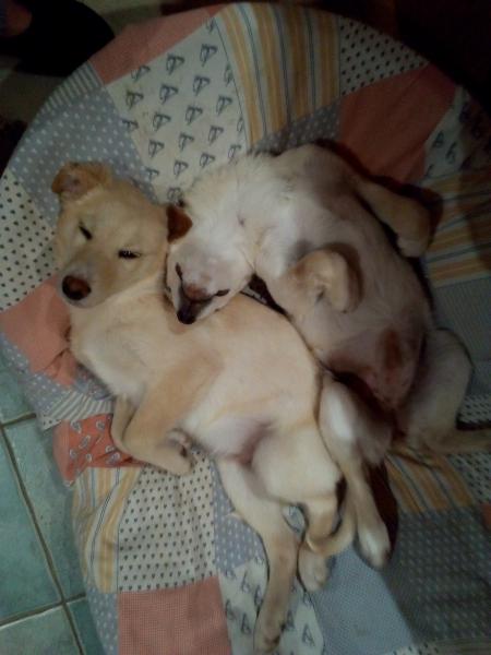 Oued et Orange mars 2019