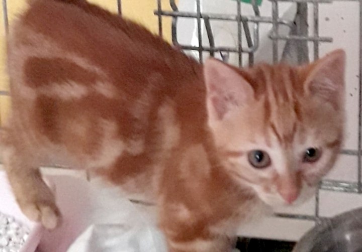 Popeline 2 juillet 2019